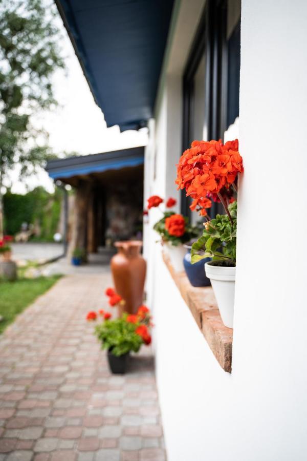 Cat Stone Villa Pisz Exterior photo