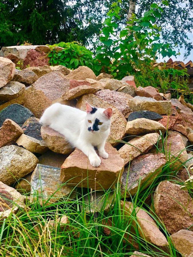Cat Stone Villa Pisz Exterior photo