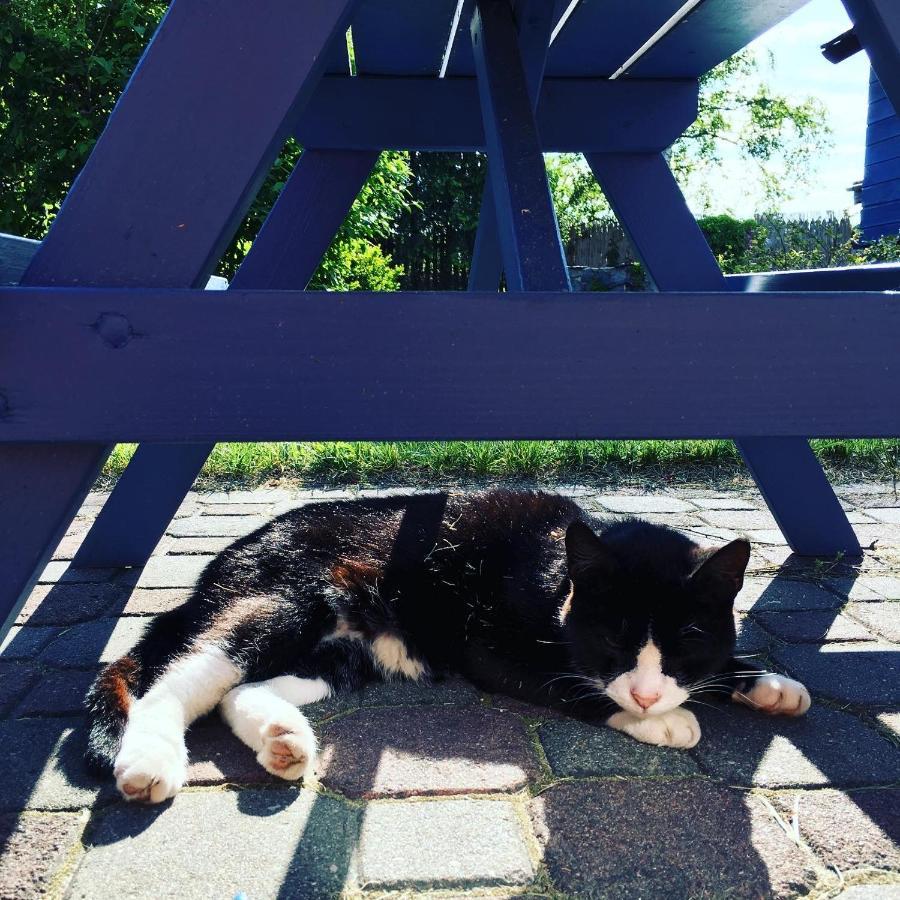 Cat Stone Villa Pisz Exterior photo